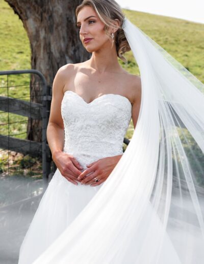 Gorgeous A-line wedding dress with lace and tulle, perfect for a winery wedding